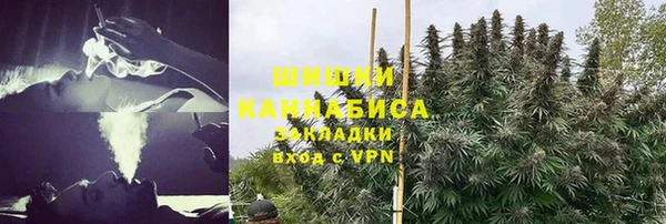 ГАЛЛЮЦИНОГЕННЫЕ ГРИБЫ Балабаново